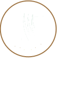 Tarasy Wrocław Logo